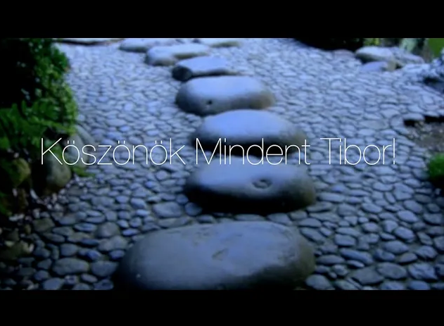 Tovább a cikkre